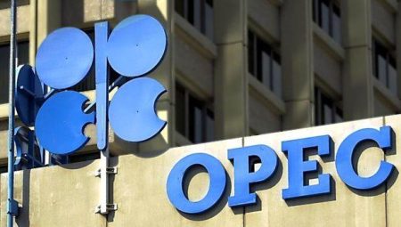 OPEC arz artışı kararı öncesinde petrol talebi tahminini düşürdü
