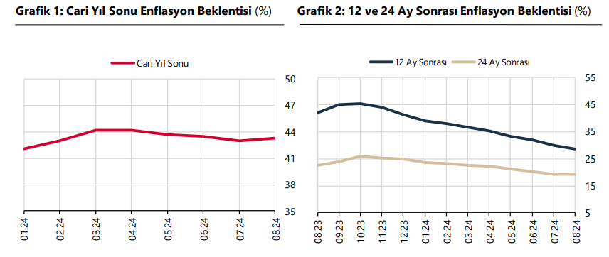 Enflasyon Beklentilerinin Artışı