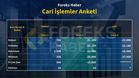 Cari İşlemler Anketi Sonuçları