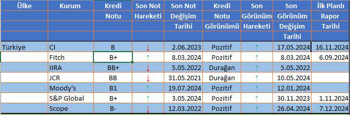 Fitch Türkiye Anketi Sonuçları Açıklandı